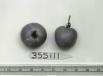 Click for 1 image(s) for this accession. FRUIT